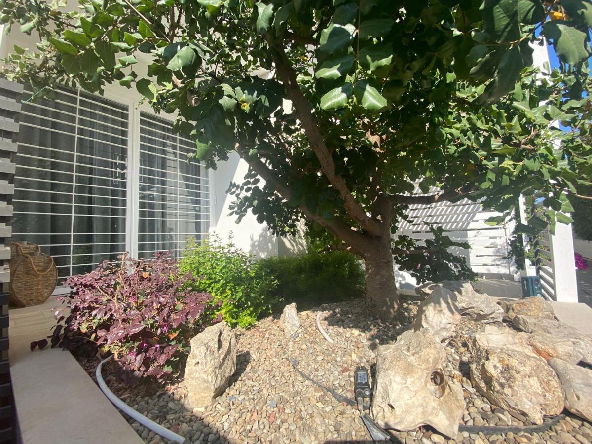 Home3 Bed Superior Room Bisceglie Exterior photo
